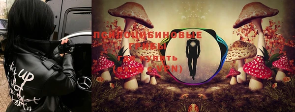 MESCALINE Верхний Тагил